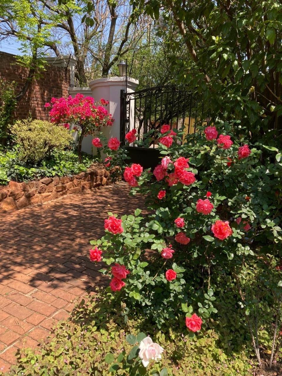 Bagley Terrace 136 Cottage Johannesburg Bagian luar foto