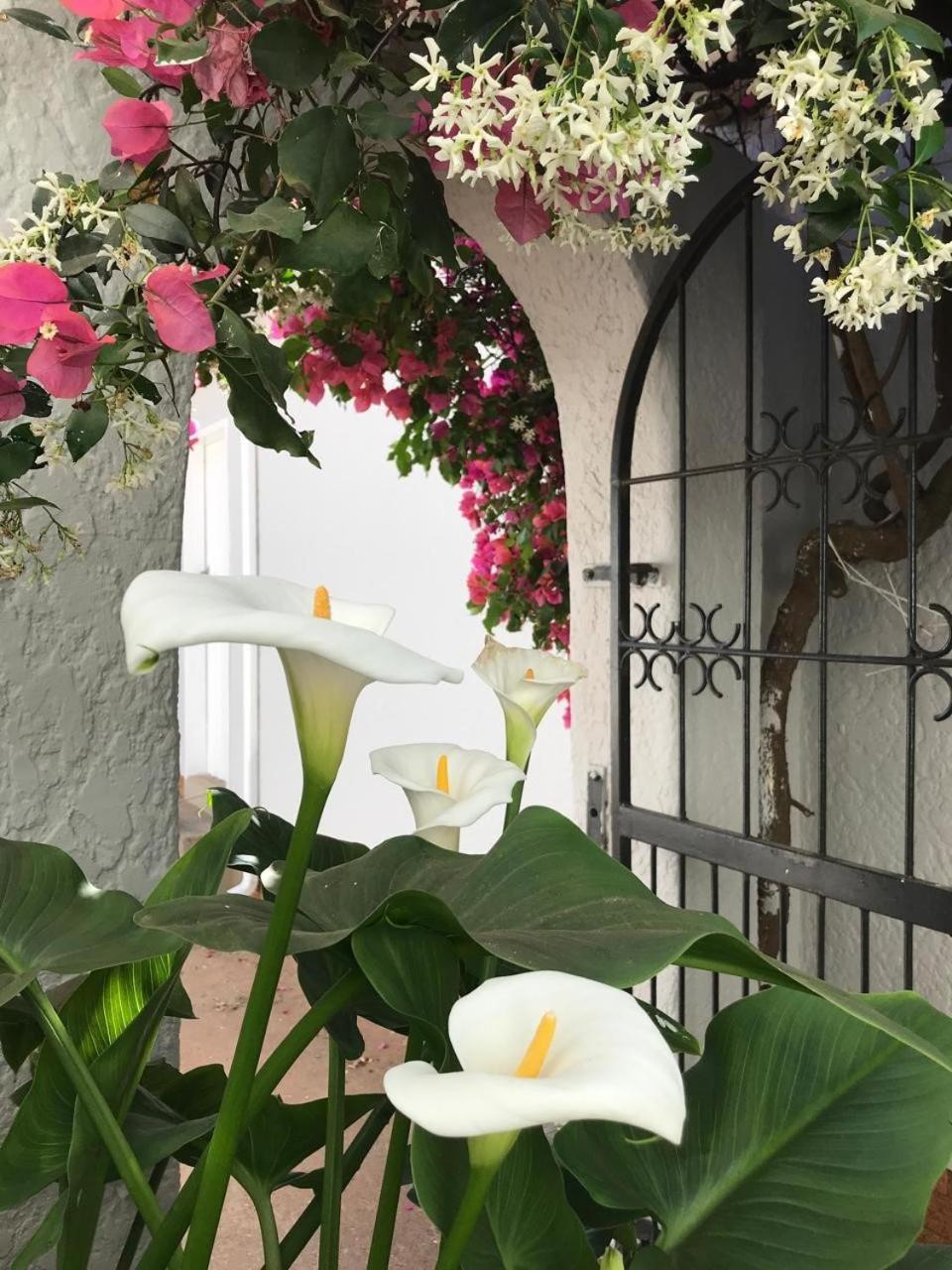 Bagley Terrace 136 Cottage Johannesburg Bagian luar foto