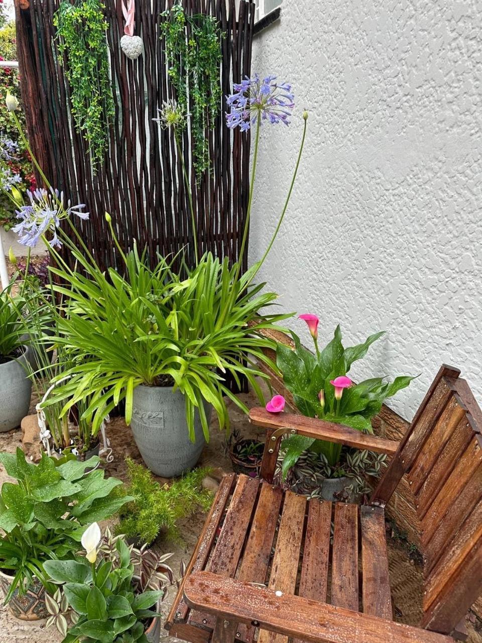 Bagley Terrace 136 Cottage Johannesburg Bagian luar foto
